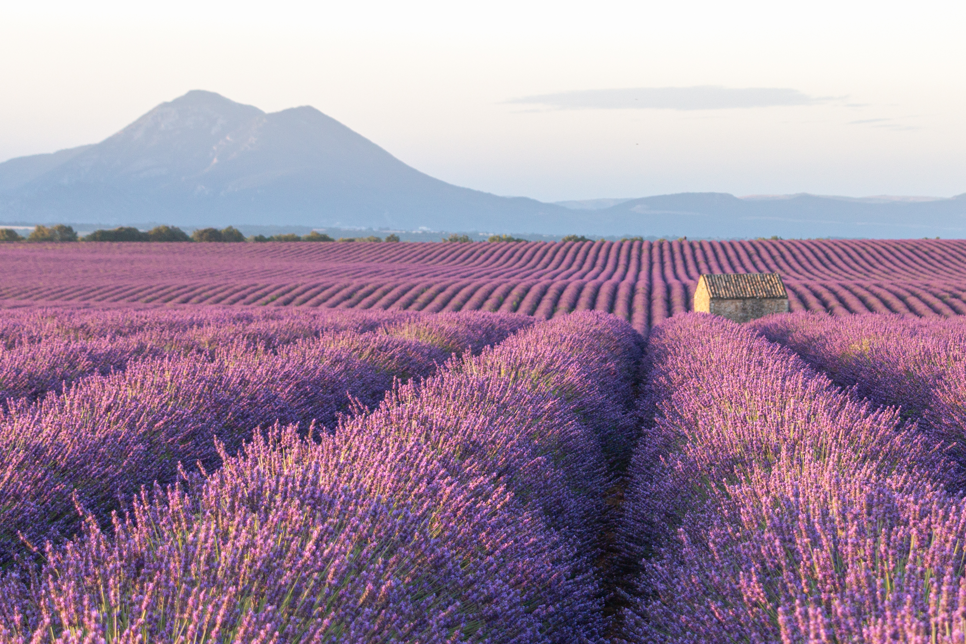 Julien Leparoux — Photographe Voyage & Reportage